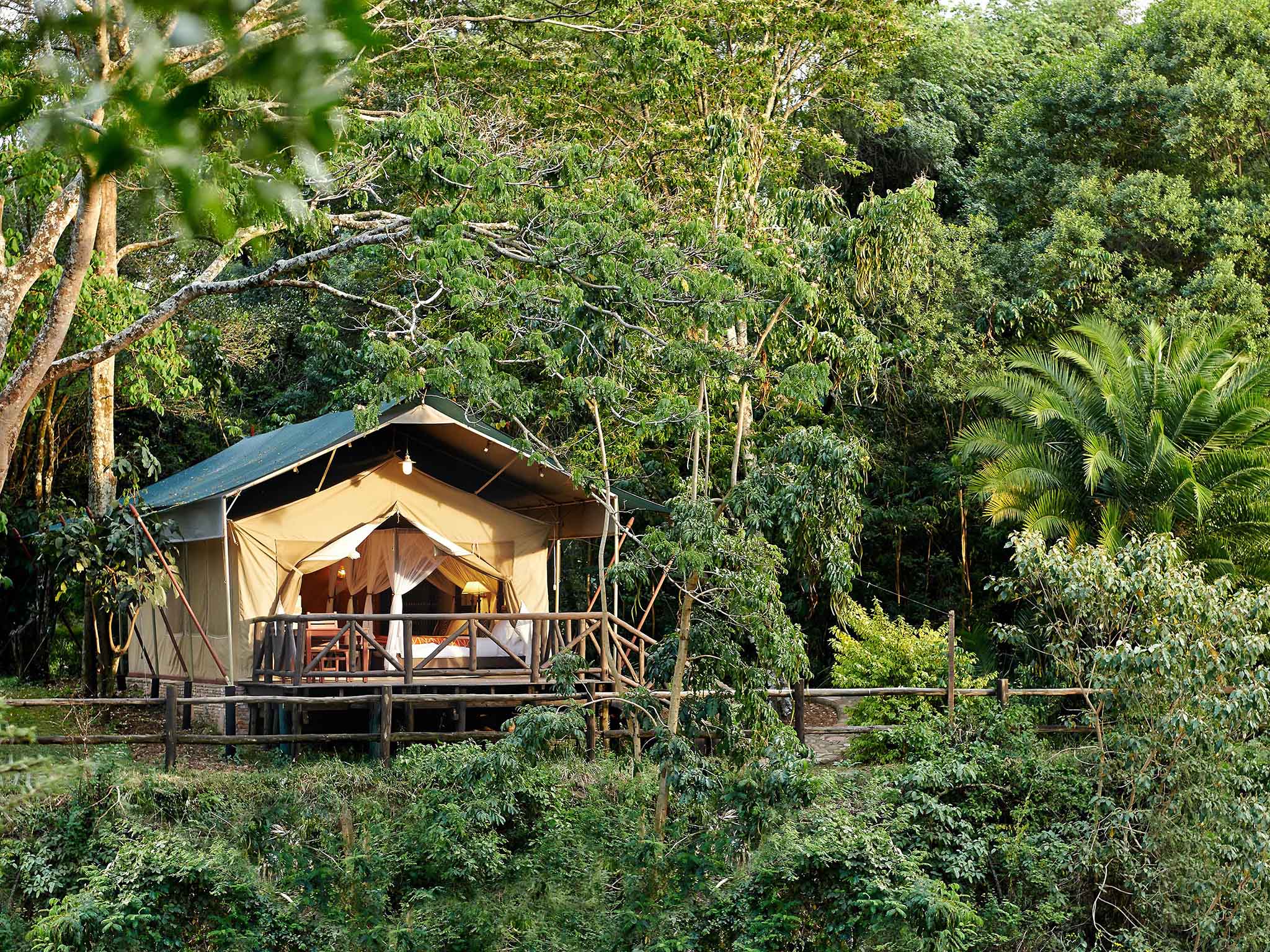 A Safari Camp for your Wildest Dreams?