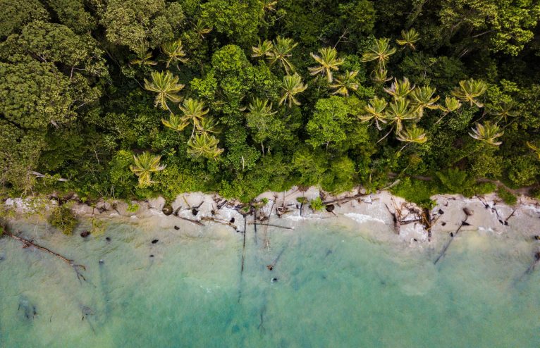 Is Costa Rica The Most Sustainable Destination?