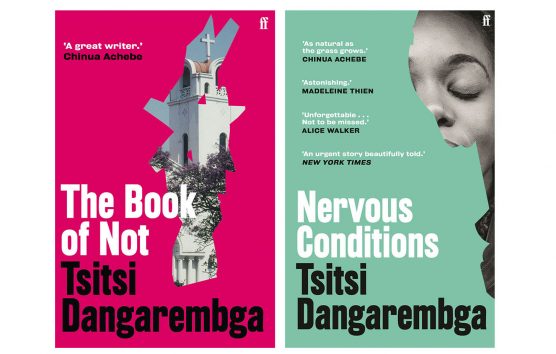 A Way With Words: Tsitsi Dangarembga