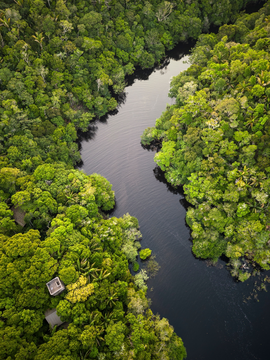 Sustainable-Luxury In Brazil's Amazon Rainforest