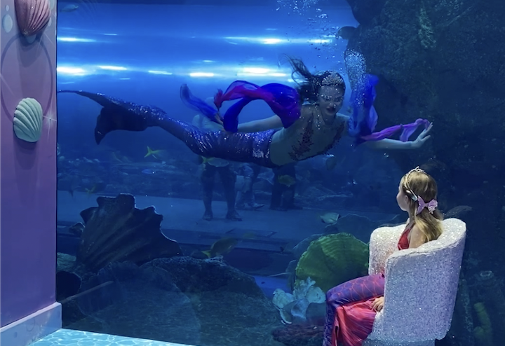 Citizen Enfant's Family Experience Of The Month: Mermaids of Arabia, Dubai