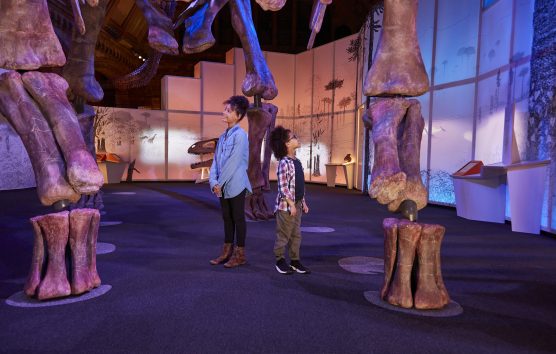 Citizen Enfant's Family Experience Of The Month: The Titanosaur Exhibition