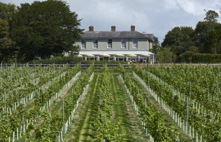The Most Stylish Sussex Stays For Wine Lovers