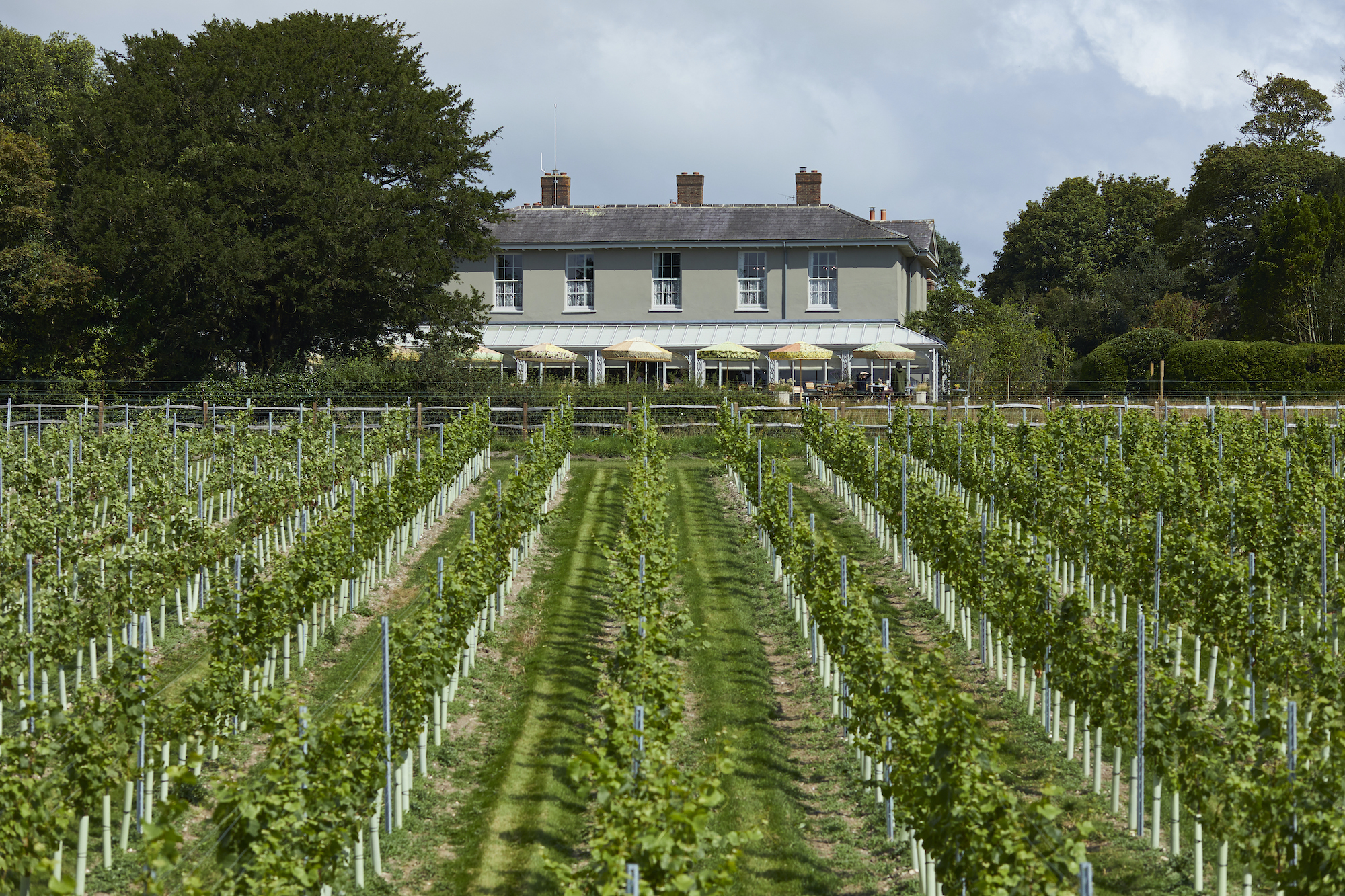 The Most Stylish Sussex Stays For Wine Lovers