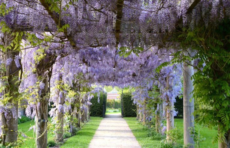 Six Lesser-Known London Parks And Gardens To Visit This Summer