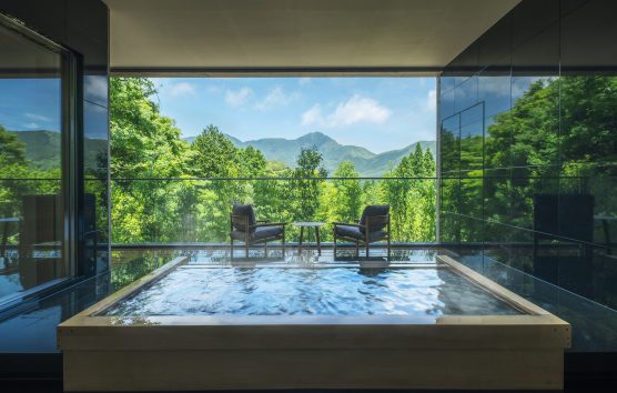 Spa Of The Month: Hot Springs at Kai Sengokuhara, Japan