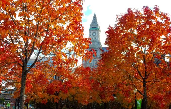 The Best Of Boston In The Fall