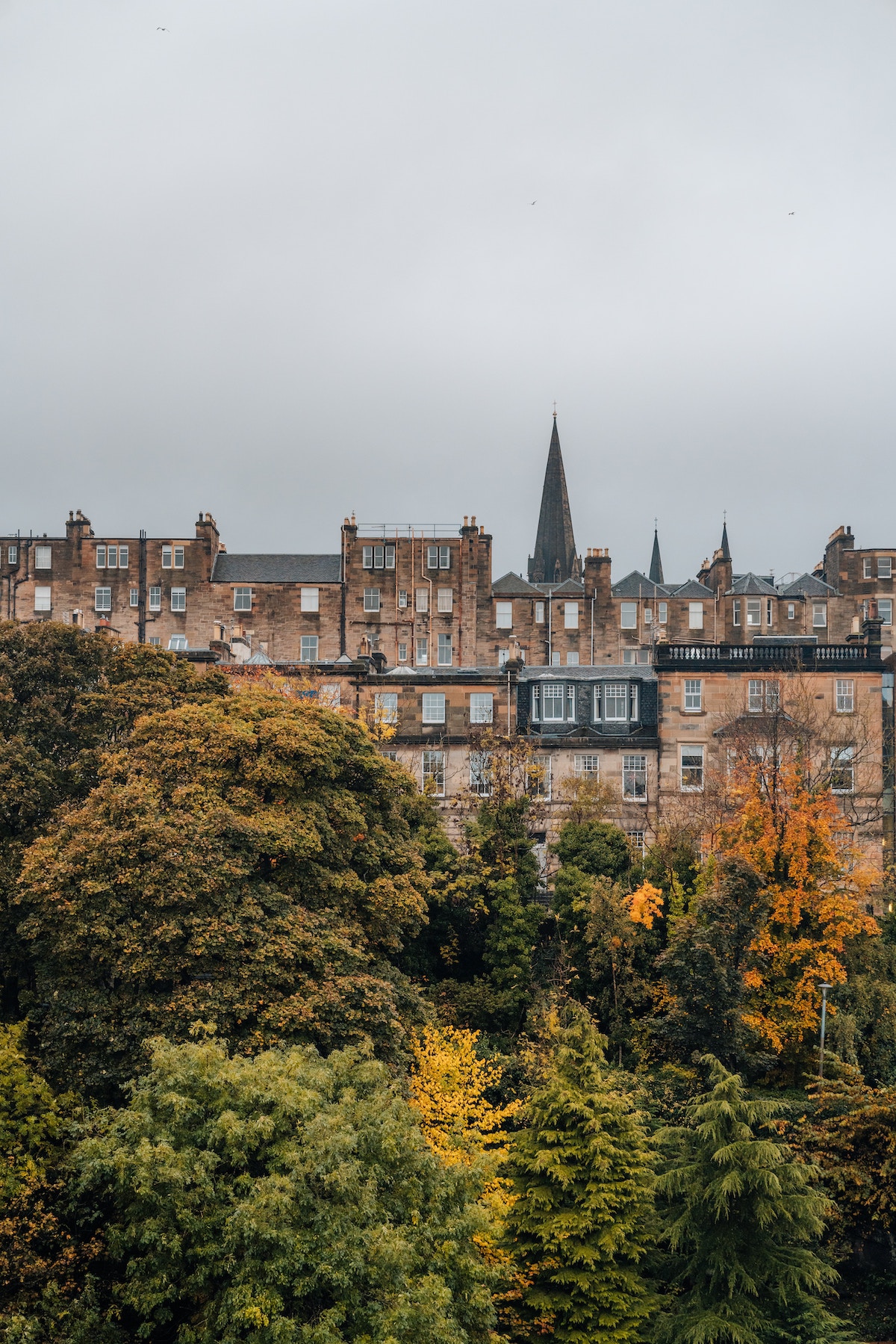 Discover The Best Of Edinburgh This Autumn